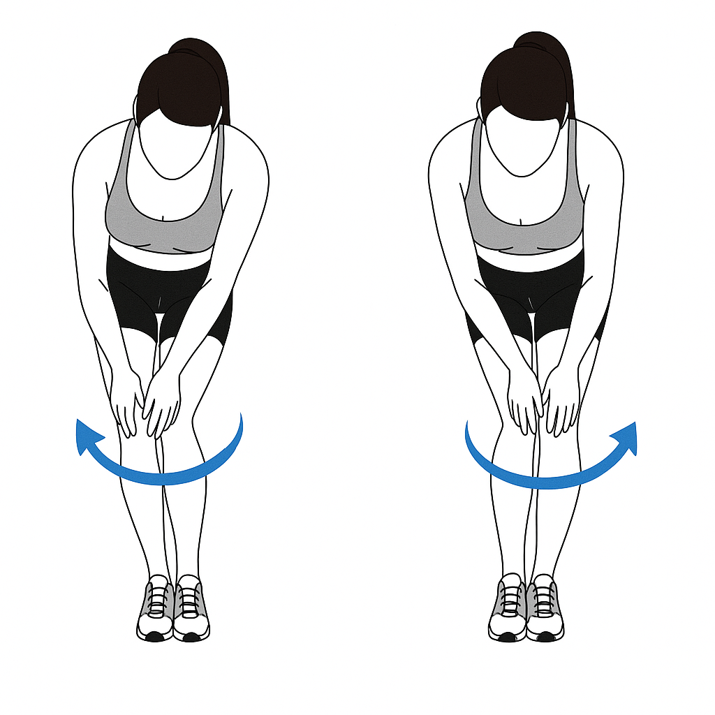 Knee Circles Exercise