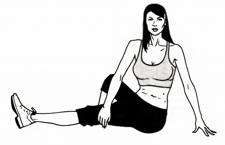 Seated Torso Twist Stretch Exercise